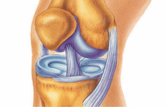 Knee Arthroscopy Surgery