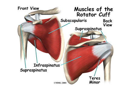 Arthroscopic Rotator Cuff Repair Surgery